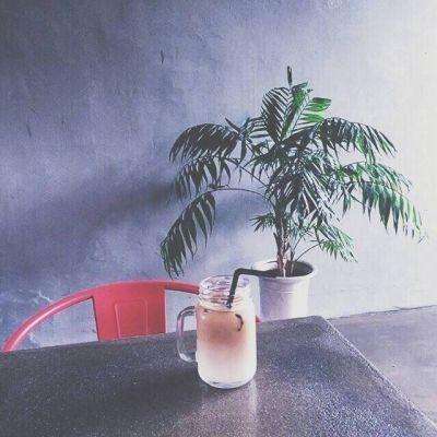 暗黑口袋精灵手机版下载