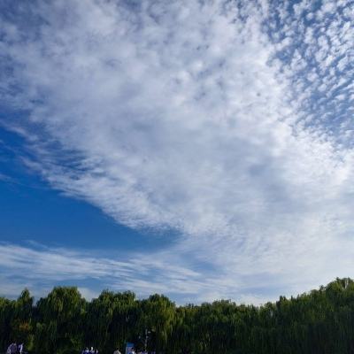 口袋妖怪伤害计算器汉化版下载