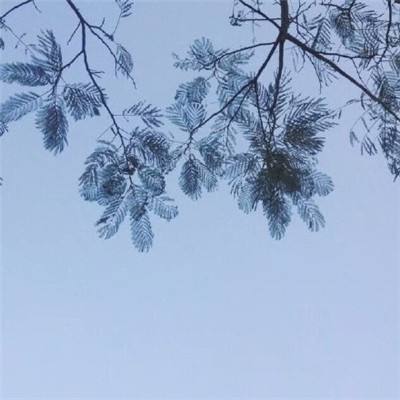 古剑奇谭二手游下载